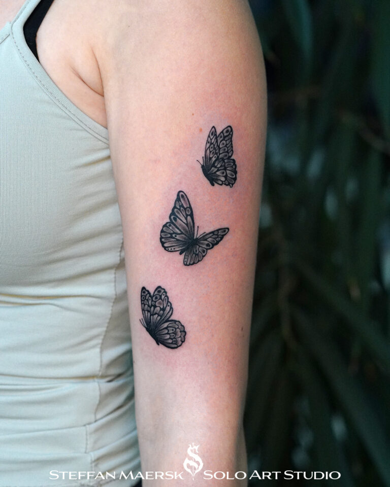 butterflies2